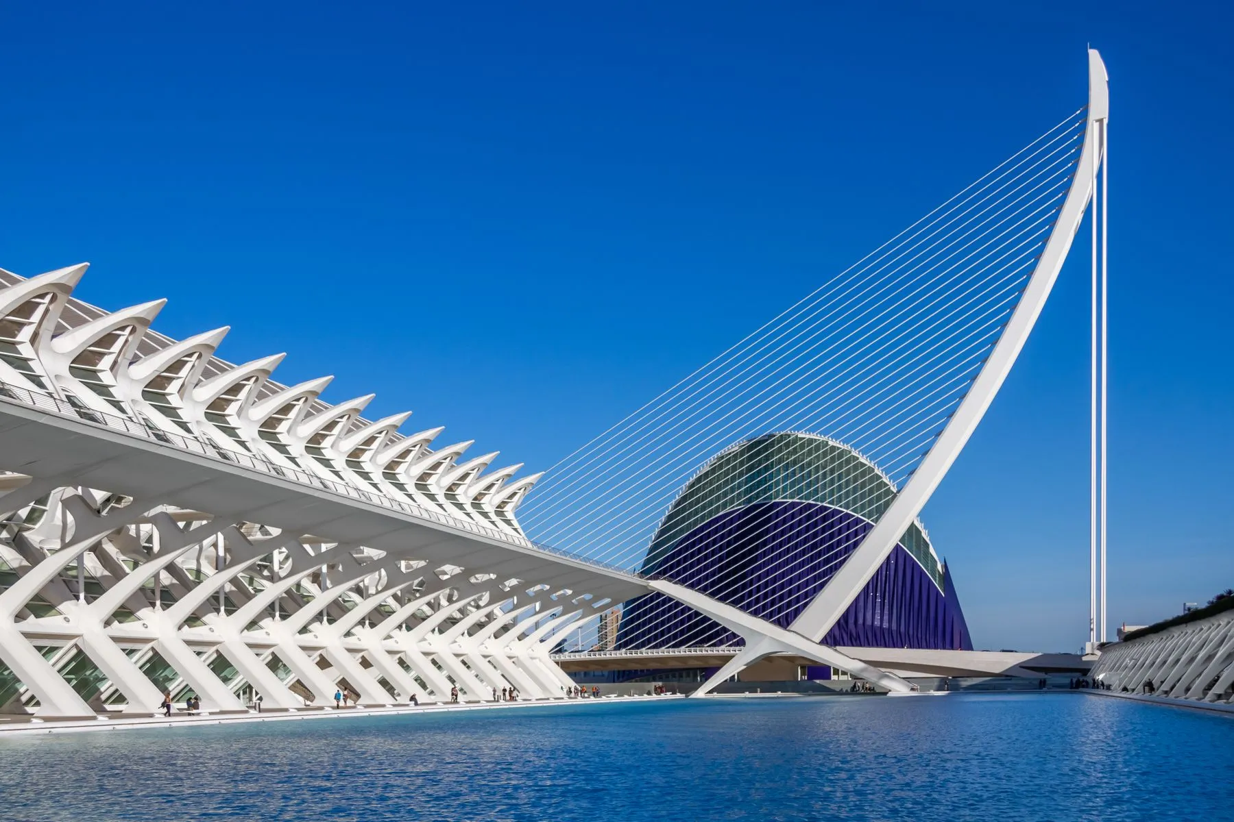 The Ciutat de les Arts i les Ciències in València, both the start and the finish of the marathon sit inside this complex.